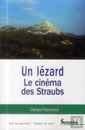 Un Lézard : Le Cinéma Des Straubs
