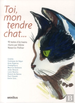 Bertrand.pt - Un Livre  Des Chats