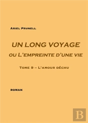 Un Long Voyage Ou L'Empreinte D'Une Vie Tome 9 ; L'Amour Déchu