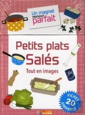Un Magnet Presque Parfait Plats Sales