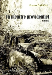 Un Meurtre Providentiel