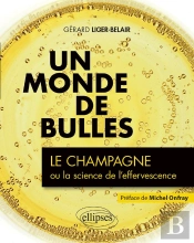 Un Monde De Bulles ; Le Champagne Ou La Science De L'Effervescence
