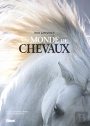 Un Monde De Chevaux