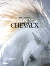 Un Monde De Chevaux