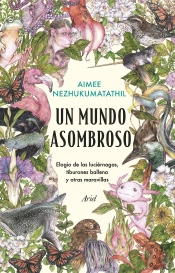 Un Mundo De Maravillas