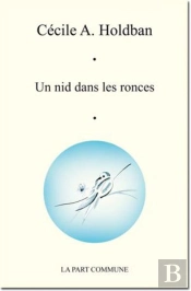 Un Nid Dans Les Ronces