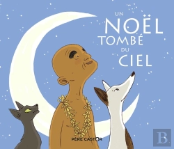 Bertrand.pt - Un Noël Tombé Du Ciel