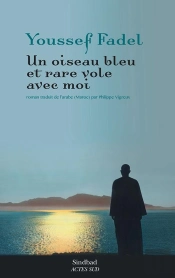 Un Oiseau Bleu Et Rare Vole Avec Moi