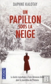 Un Papillon Sous La Neige