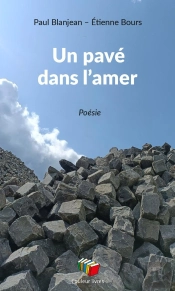 Un Pavé Dans L'Amer