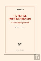 Un Peigne Pour Rembrandt Et Autres Fables Pour L'Oeil