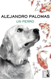Un Perro