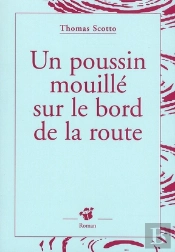 Un Poussin Mouillé Au Bord De La Route