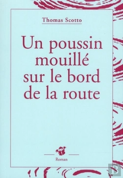 Bertrand.pt - Un Poussin Mouillé Au Bord De La Route