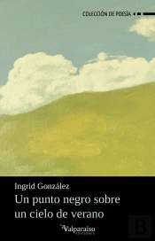 Un Punto Negro Sobre Un Cielo De Verano