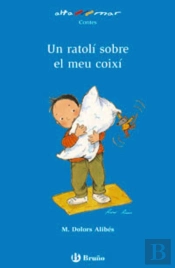Un Ratolí Sobre El Meu Coixí