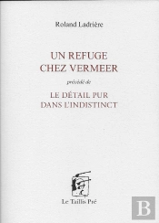 Un Refuge Chez Vermeer ; Le Détail Pur Dans L'Indistinct