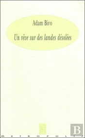 Un Rêve Sur Des Landes Désolées