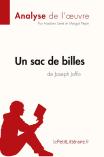 Un Sac De Billes De Joseph Joffo