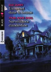 Un Secret Dans La Brume ; Surveillance Clandestine