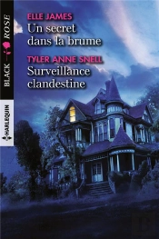 Un Secret Dans La Brume ; Surveillance Clandestine