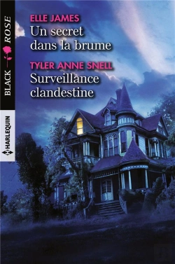 Bertrand.pt - Un Secret Dans La Brume ; Surveillance Clandestine