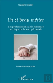 Un Si Beau Métier ; Les Professionnels De La Naissance Au Risque De La Mort Périnatale