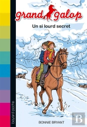 Un Si Lourd Secret - N620