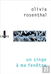 Un Singe À Ma Fenêtre