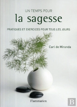 Bertrand.pt - Un Temps Pour La Sagesse ; Pratiques Et Exercices Pour Tous Les Jours