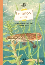 Un Triton Est Né