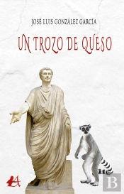 Un Trozo De Queso