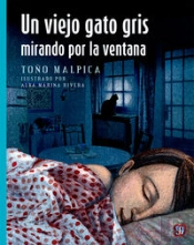 Un Viejo Gato Gris Mirando Por La Ventana(+7 Años)