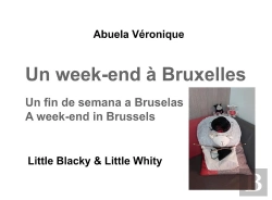 Bertrand.pt - Un Week End A Bruxelles