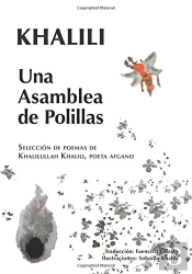 Una Asamblea De Polillas