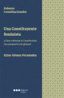 Una Constituyente Feminista
