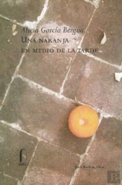 Bertrand.pt - Una Naranja En Medio De La Tarde  