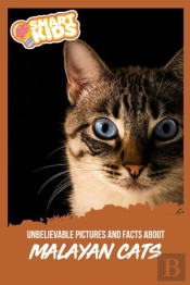 Unbelievable Pictures And Facts About Malayan Cats