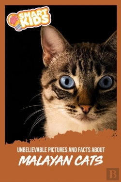 Bertrand.pt - Unbelievable Pictures And Facts About Malayan Cats