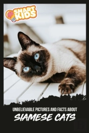 Unbelievable Pictures And Facts About Siamese Cats