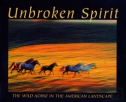 Bertrand.pt - Unbroken Spirit