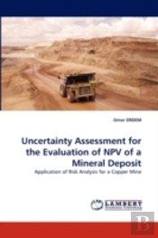Uncertainty Assessment For The Evaluation Of Npv Of A Mineral Deposit