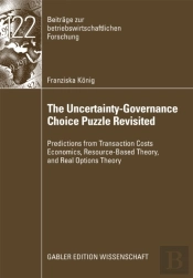 Uncertainty-Governance Choice Puzzle Revisited