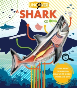 Bertrand.pt - Uncover A Shark