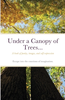 Bertrand.pt - Under A Canopy Of Trees...