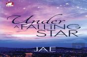 Under A Falling Star