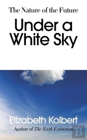 Under a White Sky