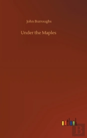 Under The Maples