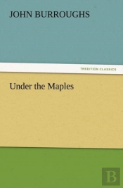 Under The Maples