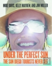 Under The Perfect Sun